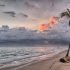 Why Move to Port St. Lucie?