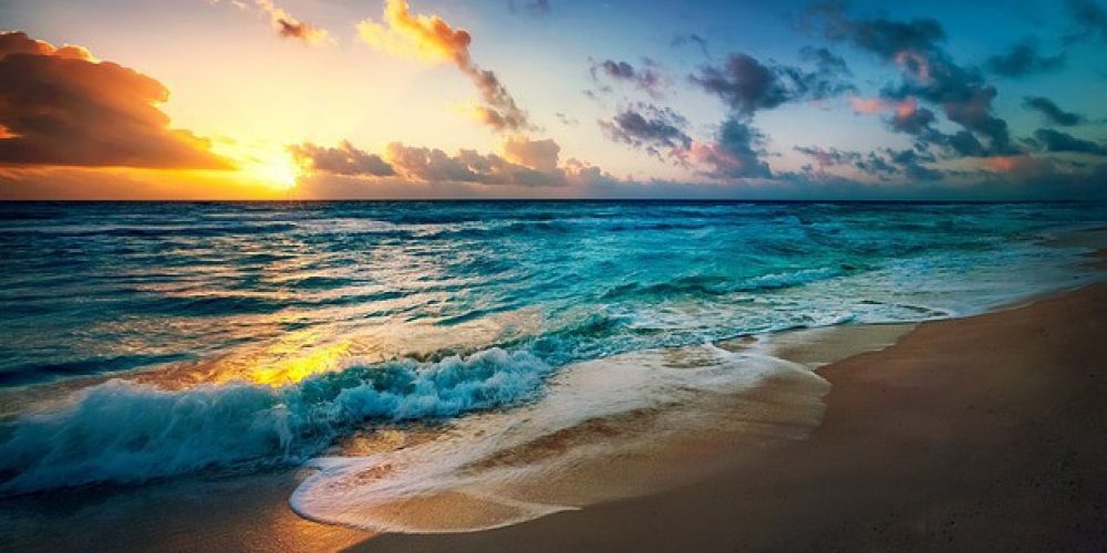 Florida’s Treasure Coast: A Hub of Thriving Business Opportunities