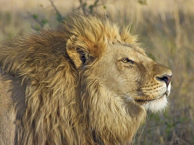 Africa Travel