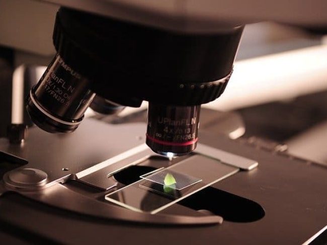 Laboratory