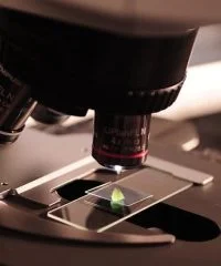 Laboratory
