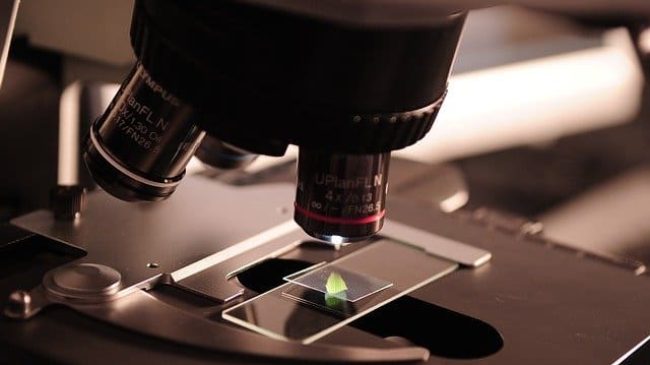 Laboratory